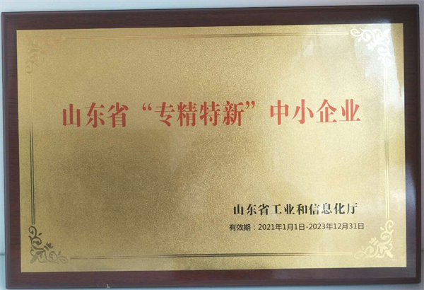 2021专精特新中小企业